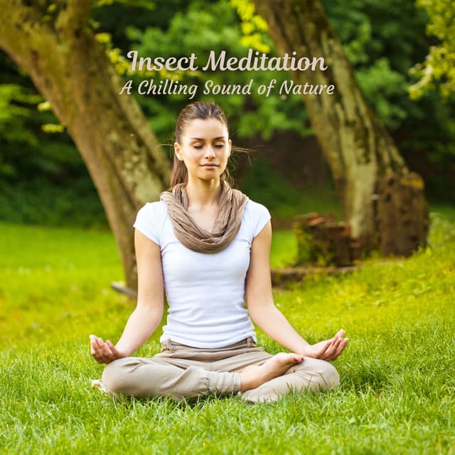 Insect Meditation: A Chilling Sound of Nature - Forest Crickets