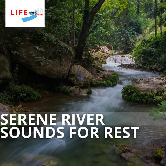 Serene River Sounds for Rest - Life River Sound