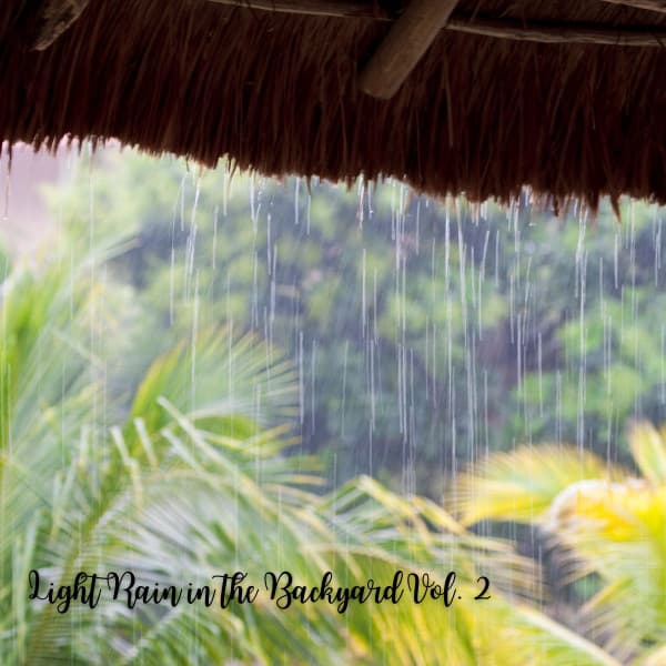 Light Rain in the Backyard Vol. 2 - Native American Nature