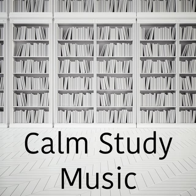 Calm Study Music - Studying Music Group