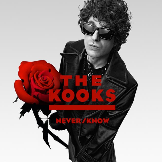 Never/Know - The Kooks