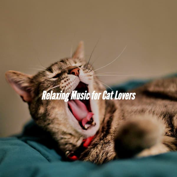 Relaxing Music for Cat Lovers - Study Music Deluxe