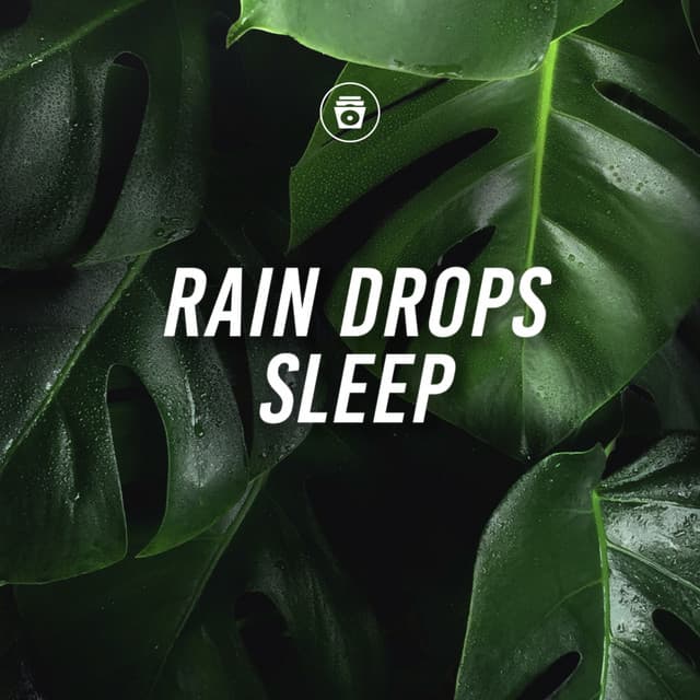Rain Drops Sleep - Nature Sounds