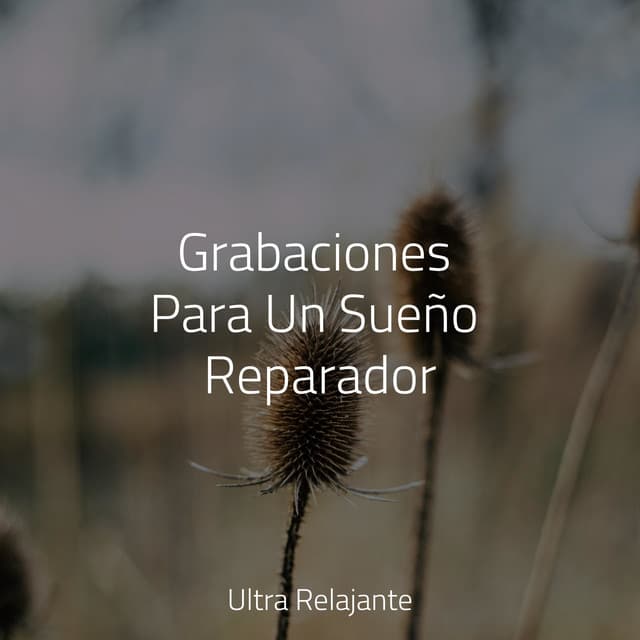Grabaciones Para Un Sueño Reparador - El hada de las canciones de cuna
