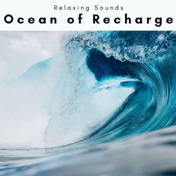 1 Ocean of Recharge - Sleep Tech