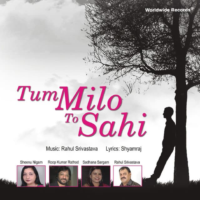 Tum Milo To Sahi - Sheenu Nigam
