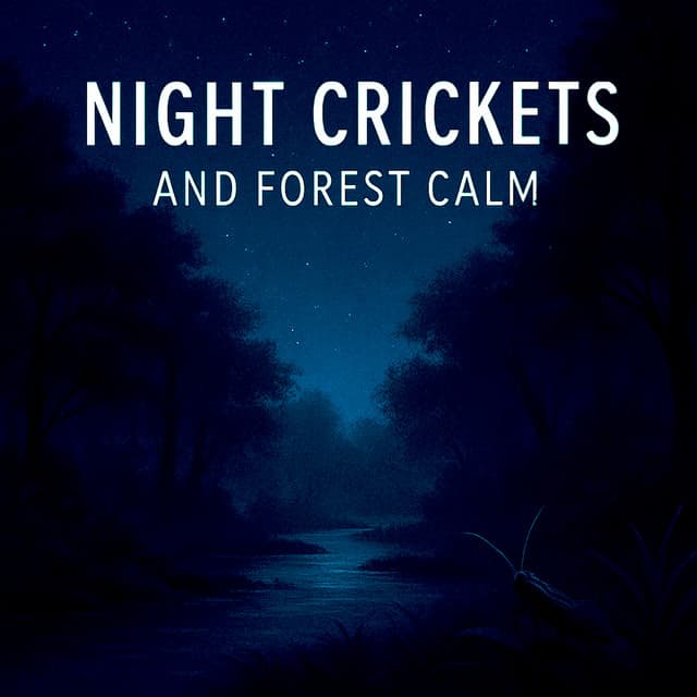 Night Crickets And Forest Calm - Drivotra