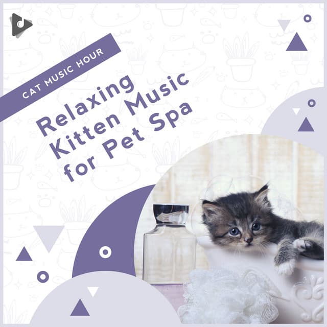 Relaxing Kitten Music for Pet Spa - Cat Music Hour