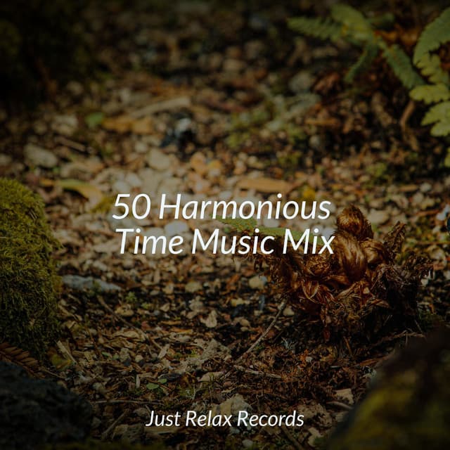 50 Harmonious Time Music Mix - Exam Study Classical Music