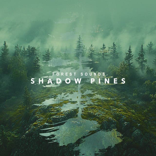 Shadow Pines - Forest Sounds