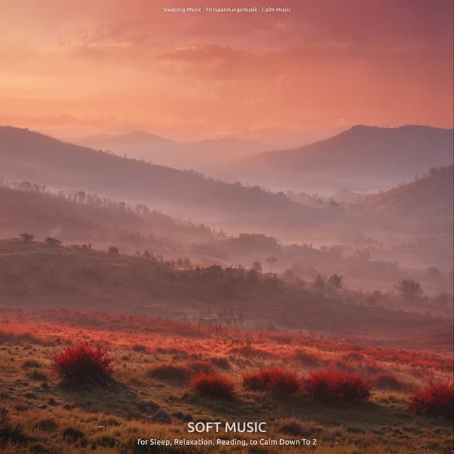 Soft Music for Sleep, Relaxation, Reading, to Calm Down To 2 - Sleeping Music