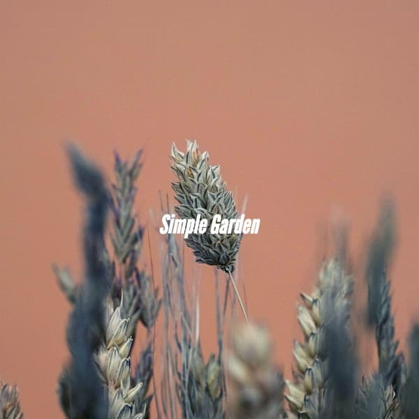 Simple Garden - Jazz Rilassante