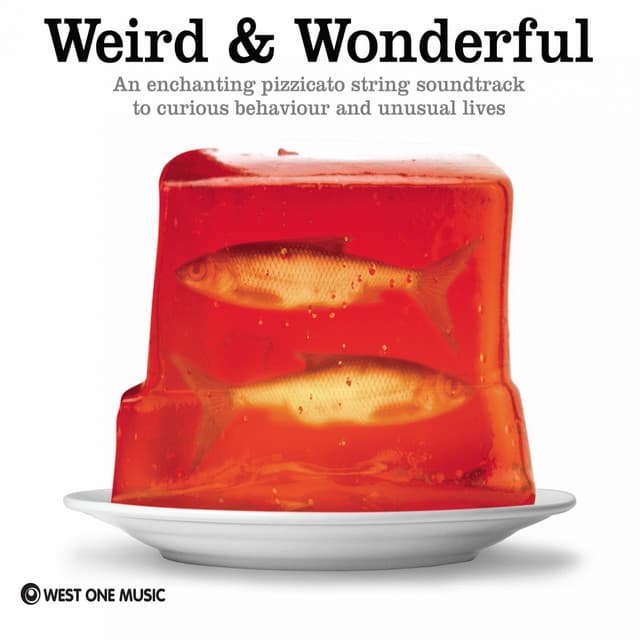 Weird and Wonderful - Bill Connor