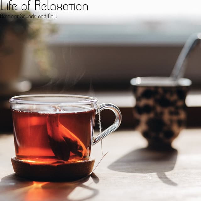 Ambient Sounds and Chill