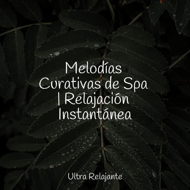 Melodías Curativas de Spa | Relajación Instantánea - Musica Relajante Specialistas