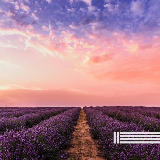 Ambient Landscapes