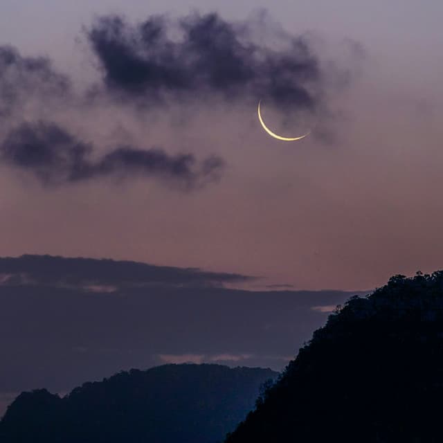 1 Night With White Noise: Nocturnal Serenity - White Noise