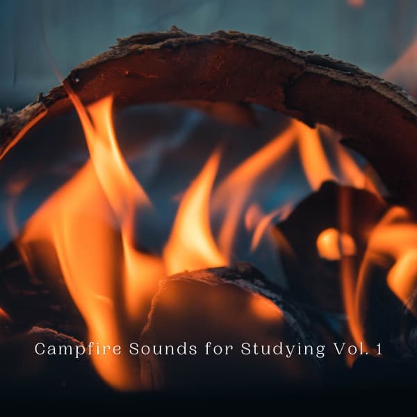 Campfire Sounds for Studying Vol. 1 - Classical Study Music