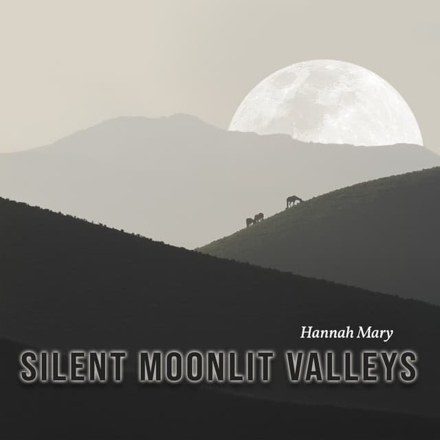 Silent Moonlit Valleys - Hannah Mary