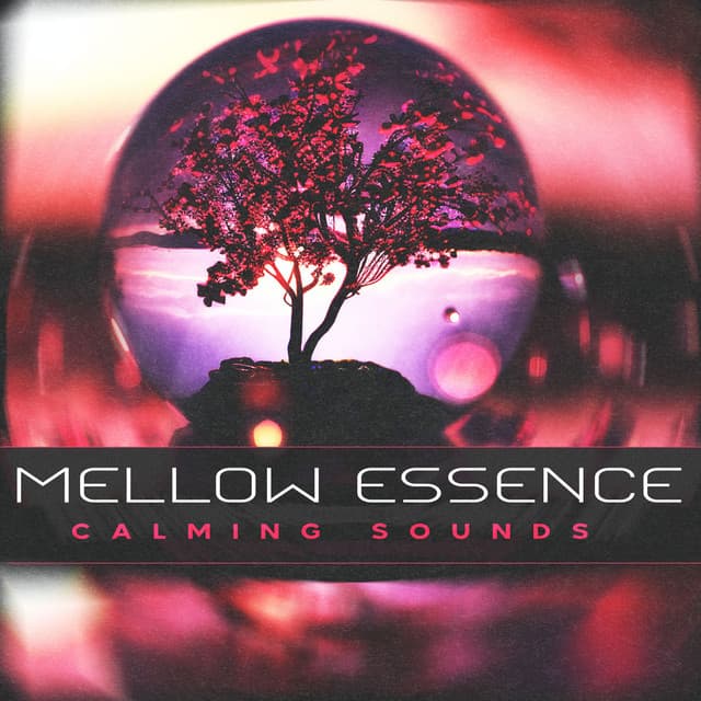 Mellow Essence - Calming Sounds