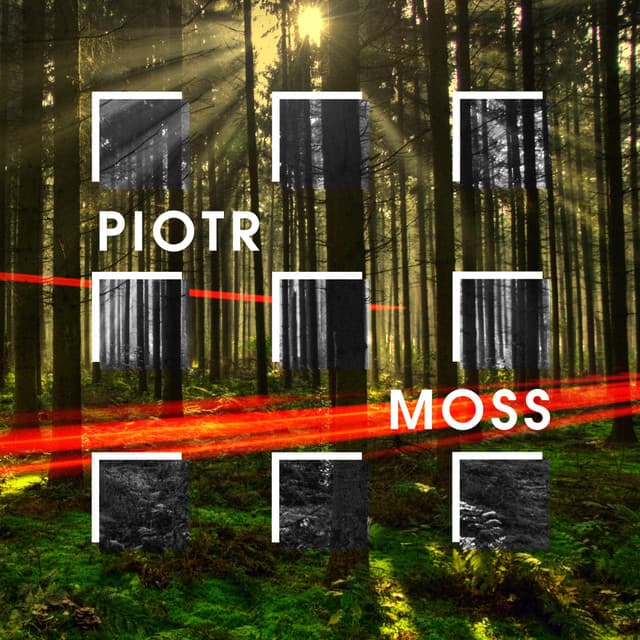 Piotr Moss - Piotr Moss