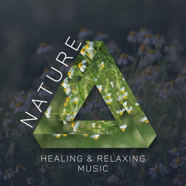 Nature Healing & Relaxing Music - Nature Medicine, Imagination Booster - Deep Relaxation Exercises Academy