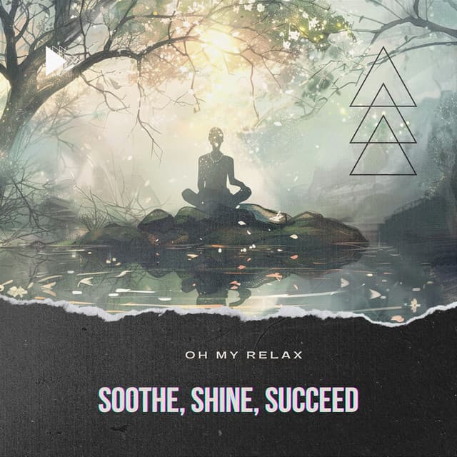 Soothe, Shine, Succeed - Oh My Relax
