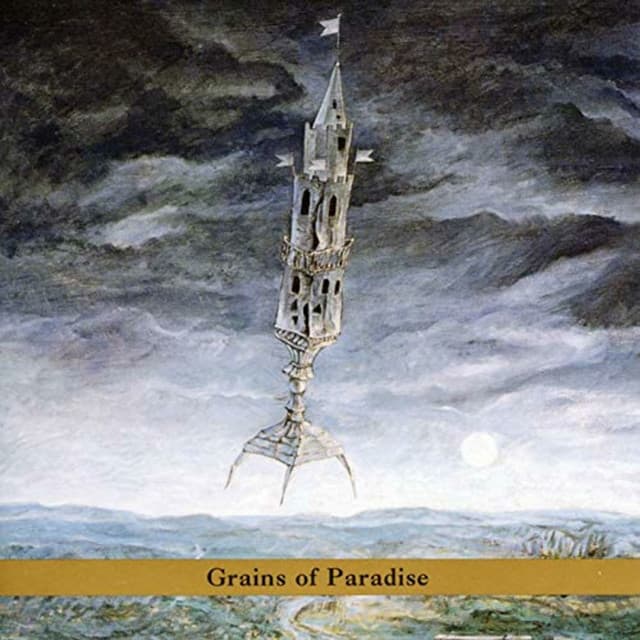 Grains Of Paradise - Erik Friedlander