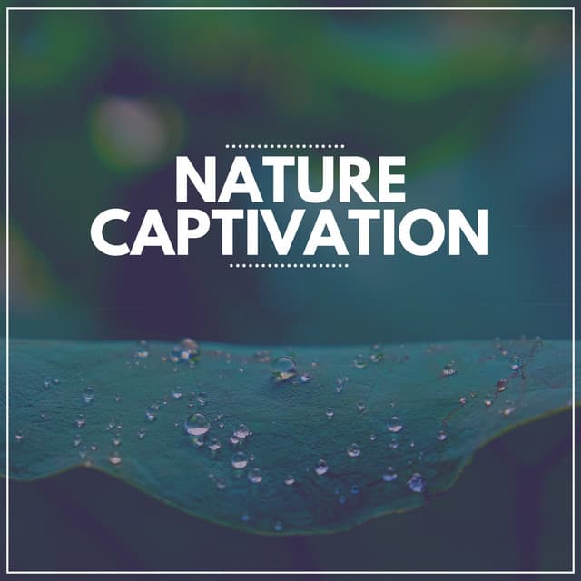 Nature Captivation - Nature Sound Series