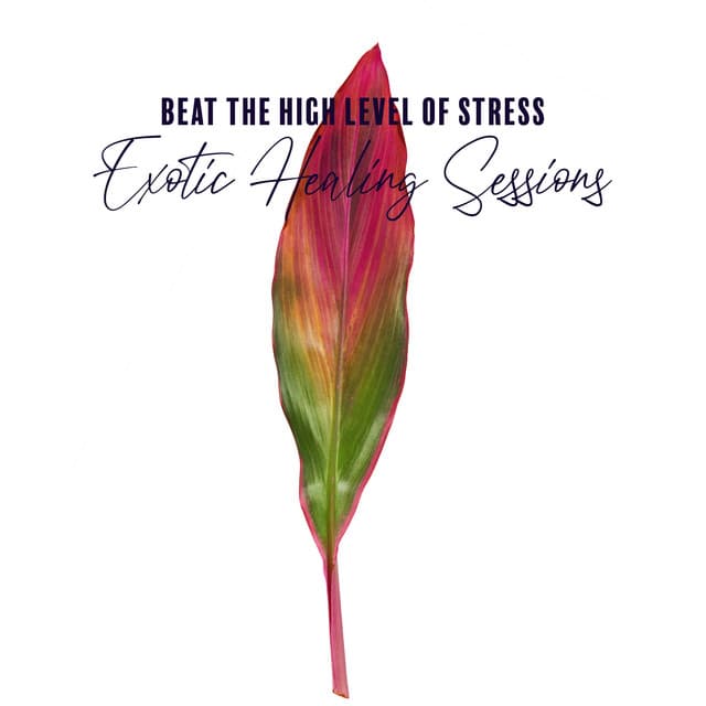Beat the High Level of Stress. Exotic Healing Sessions - Exotic Power Maker