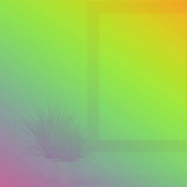 Echoes of Moments of Rhythm - Speakeasy Jazz Playlist