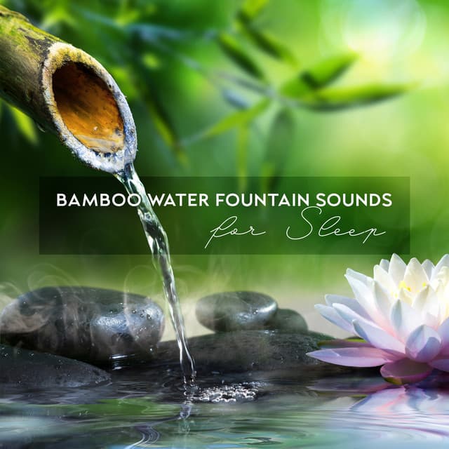 Calming Waters Consort