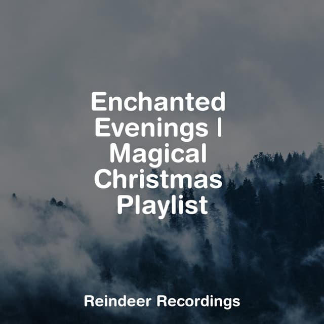Enchanted Evenings | Magical Christmas Playlist - Christmas Eve
