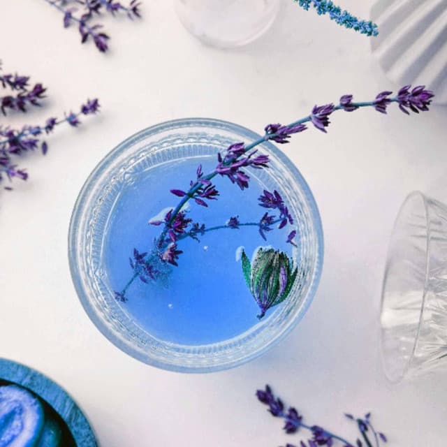 Opulent Piano Bossa Duo - Background for Lonely Night - Dog Sleeping Soundtracks Deluxe