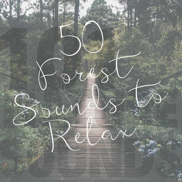 50 Forest Sounds to Relax - 101 Nature Sounds