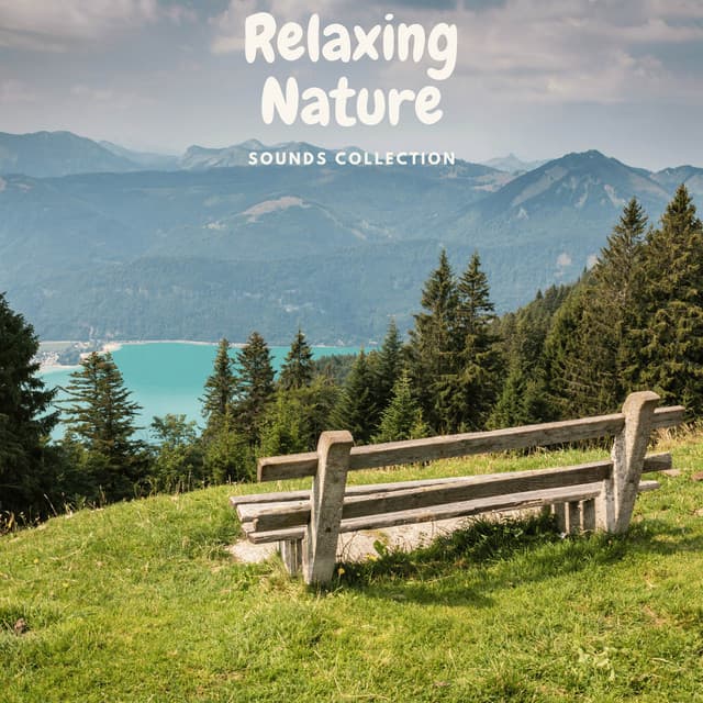 Pines of Relaxing Embrace - Relaxing Nature Sounds Collection