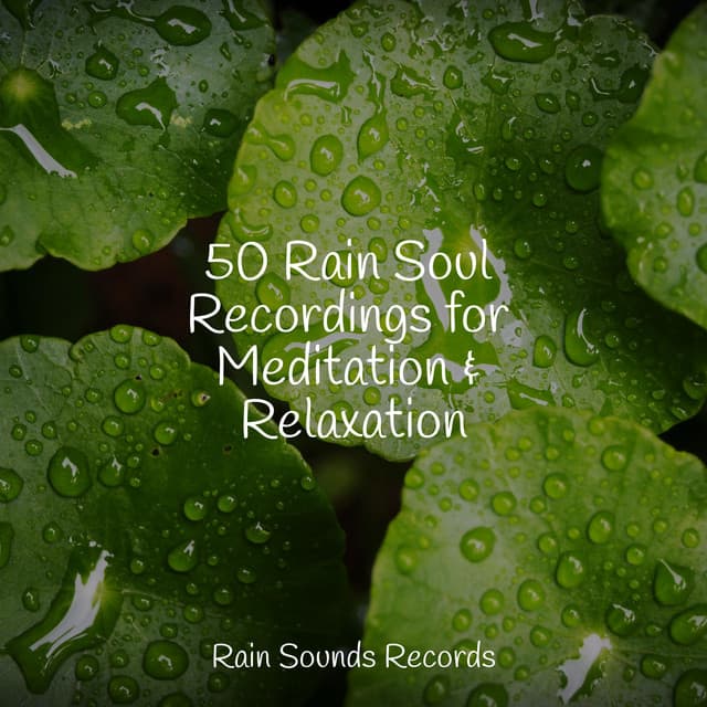 50 Rain Soul Recordings for Meditation & Relaxation - Rest & Relax Nature Sounds Artists