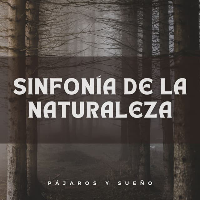 Sinfonía De La Naturaleza: Pájaros Y Sueño - Sonidos de la naturaleza de la isla