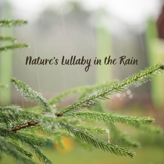 Nature's Lullaby in the Rain - Rain Recorders