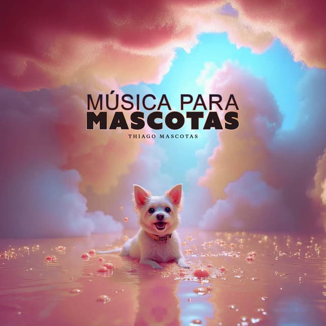 Música para Mascotas - Thiago Mascotas