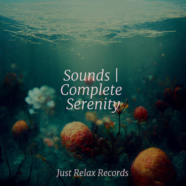 Sounds | Complete Serenity - Rockabye Lullaby
