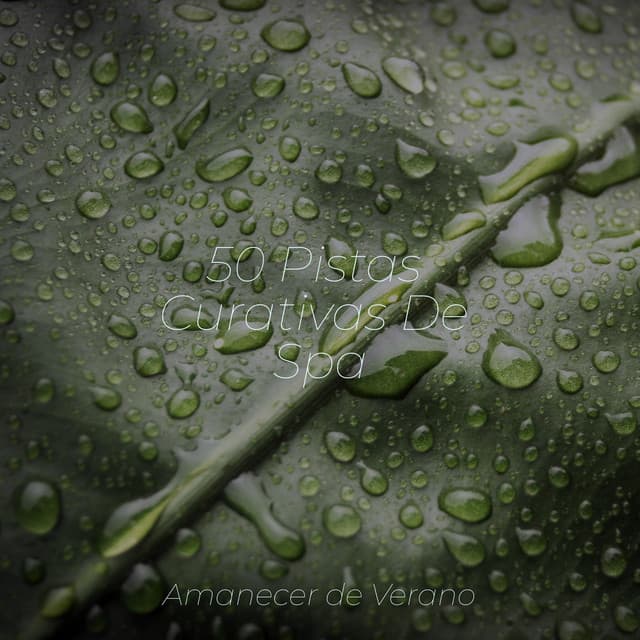 50 Pistas Curativas De Spa - Dormir