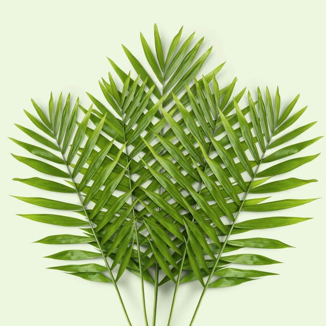 365 Earth: Evergrowing - Nature Sound Collection