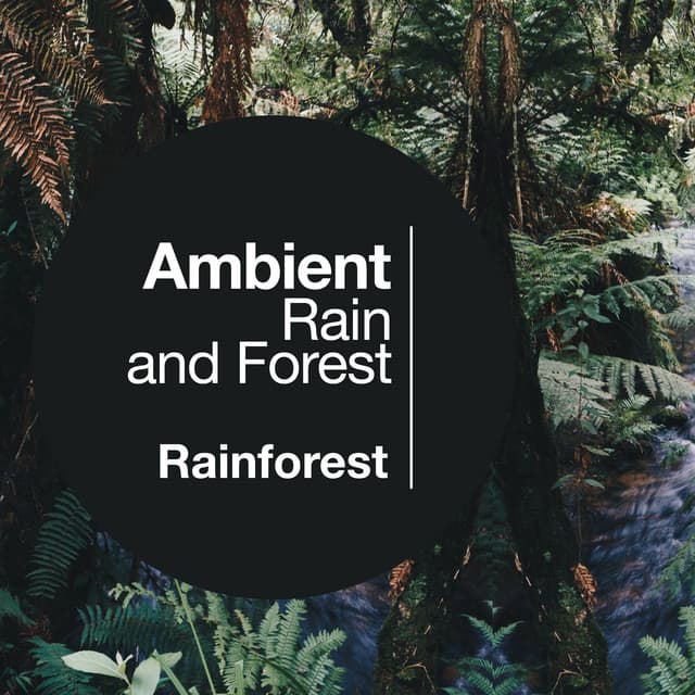 Ambient Rain and Forest - Rainforest