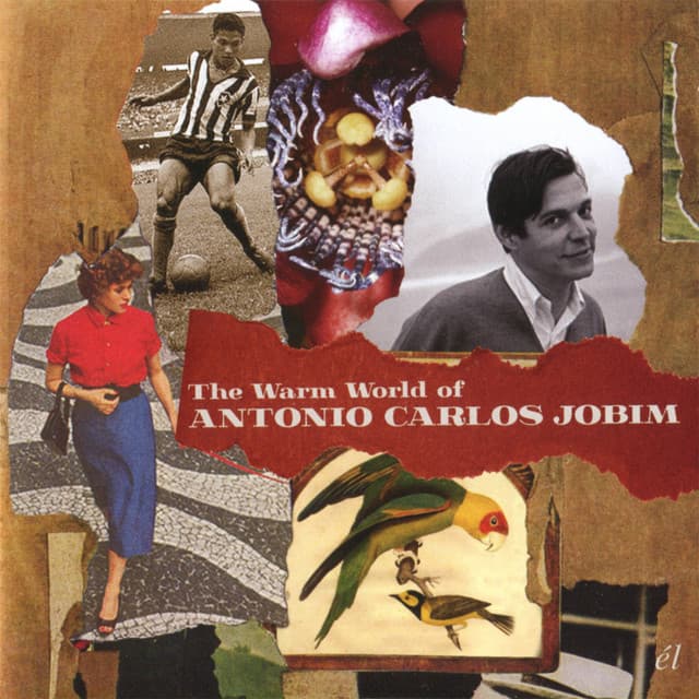 The Warm World Of Antonio Carlos Jobim - Antônio Carlos Jobim