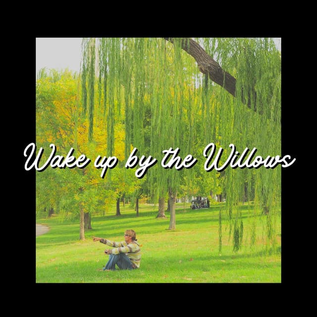 Wake up by the Willows - Actors of Nature