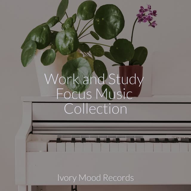 Work and Study Focus Music Collection - Yoga Sounds