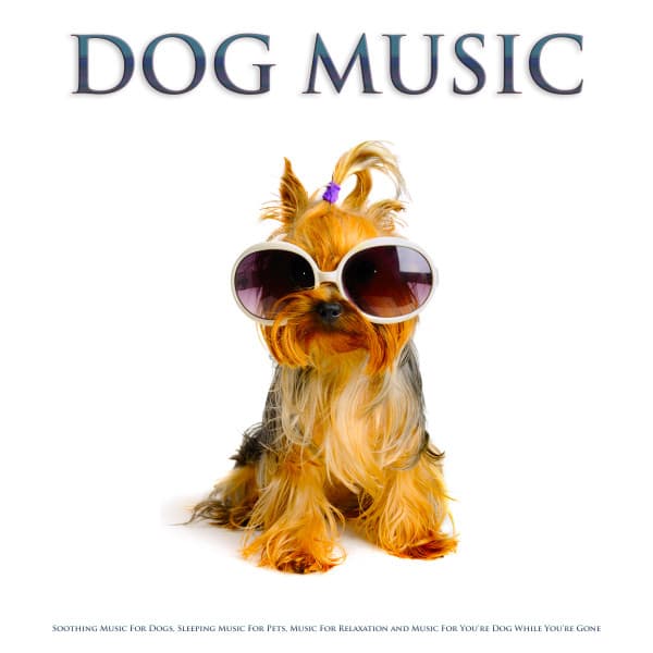 Dog Music: Soothing Music For Dogs, Sleeping Music For Pets, Music For Relaxation and Music For You’re Dog While You’re Gone - Dog Music