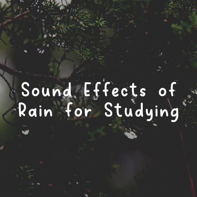 Sound Effects of Rain for Studying - Natural Rain Sounds for Sleeping
