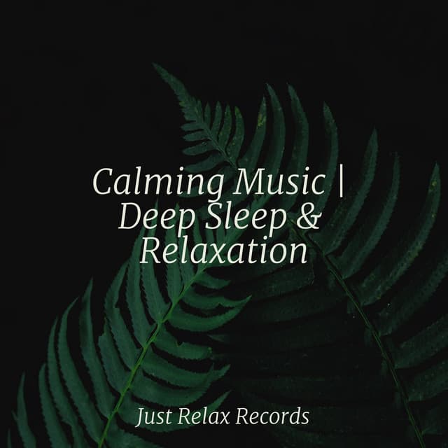 Calming Music | Deep Sleep & Relaxation - Massage Therapy Music